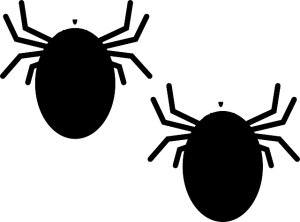 הדברת פשפש המיטה